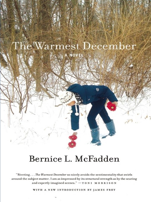 Title details for The Warmest December by Bernice L. McFadden - Available